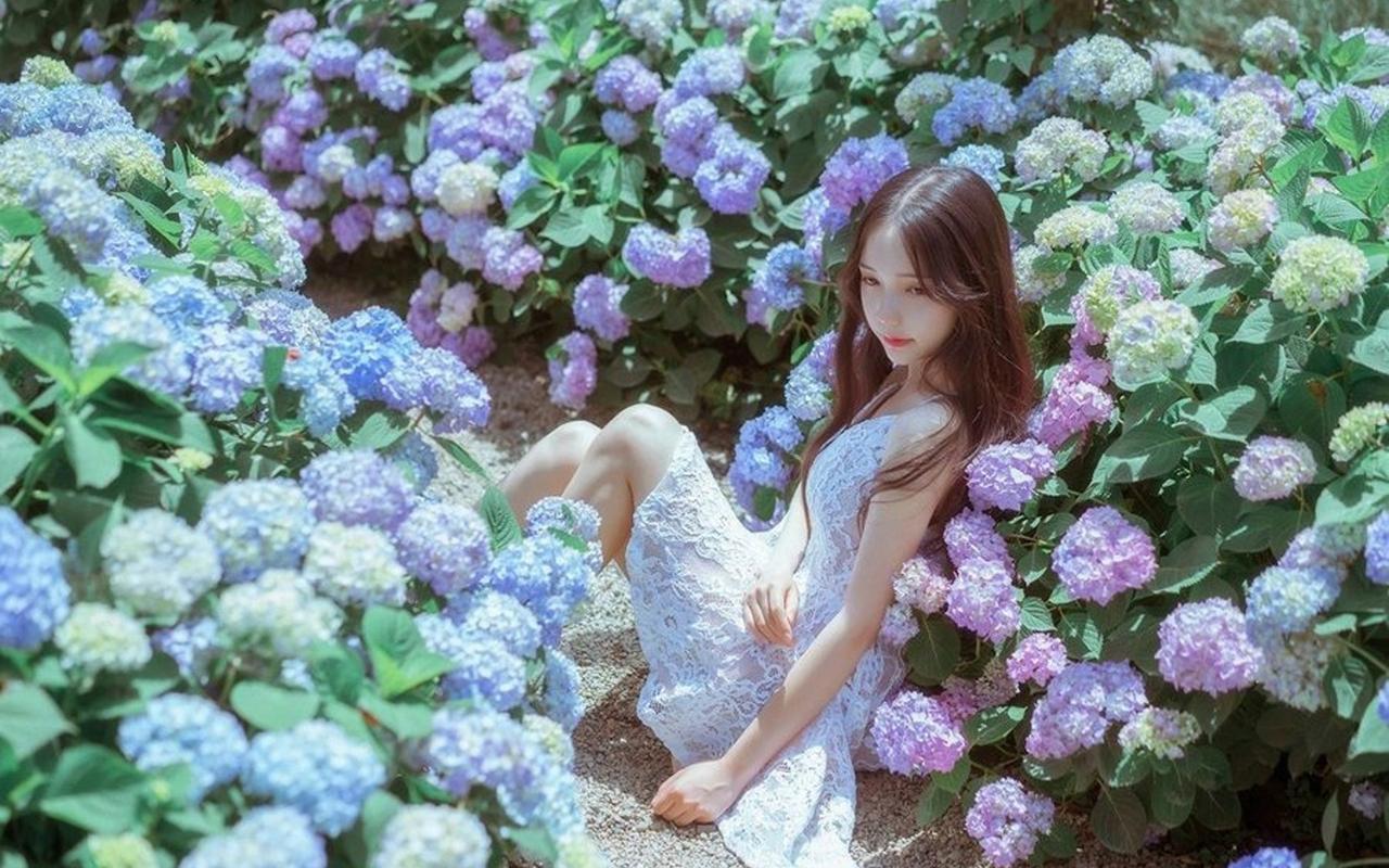 全国碳市场上线四周年 中碳登累计交易额超462亿元